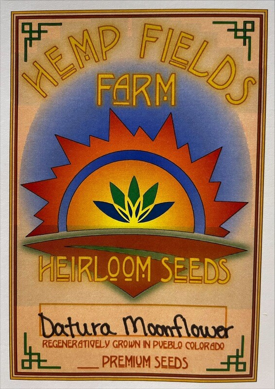 Datura Moonflower