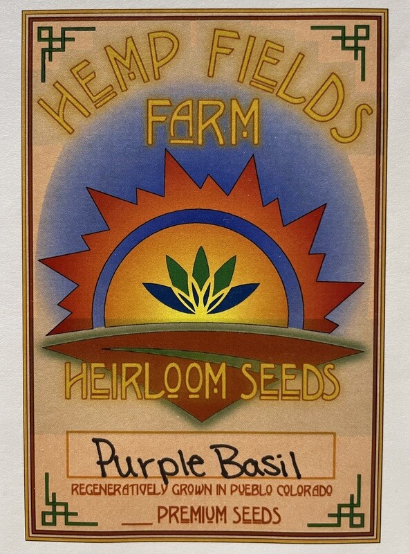 Purple Basil
