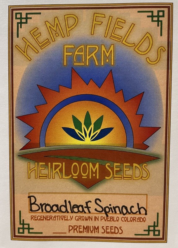 Broadleaf Spinach