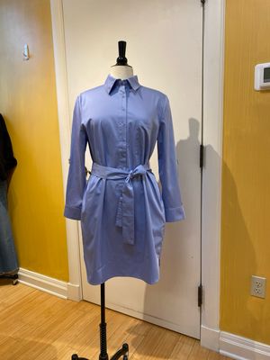 Emma Line Shirtdress