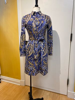 Ziva Shirtdress