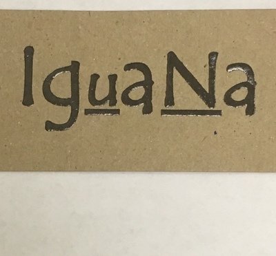 Iguana