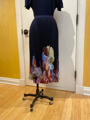 Pleated Skirt