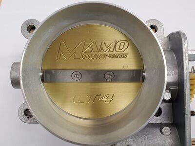 Ported Chevy/GM LS &amp; LT Throttle Bodies