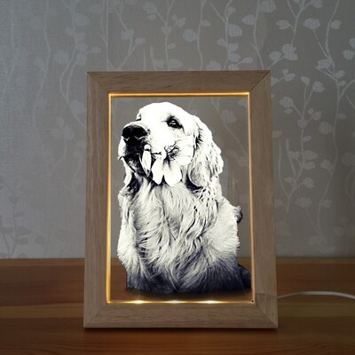 Led Picture Frame + 2D Glass Photo (Large) Led Picture Frame + 2D Glass Photo (Large)