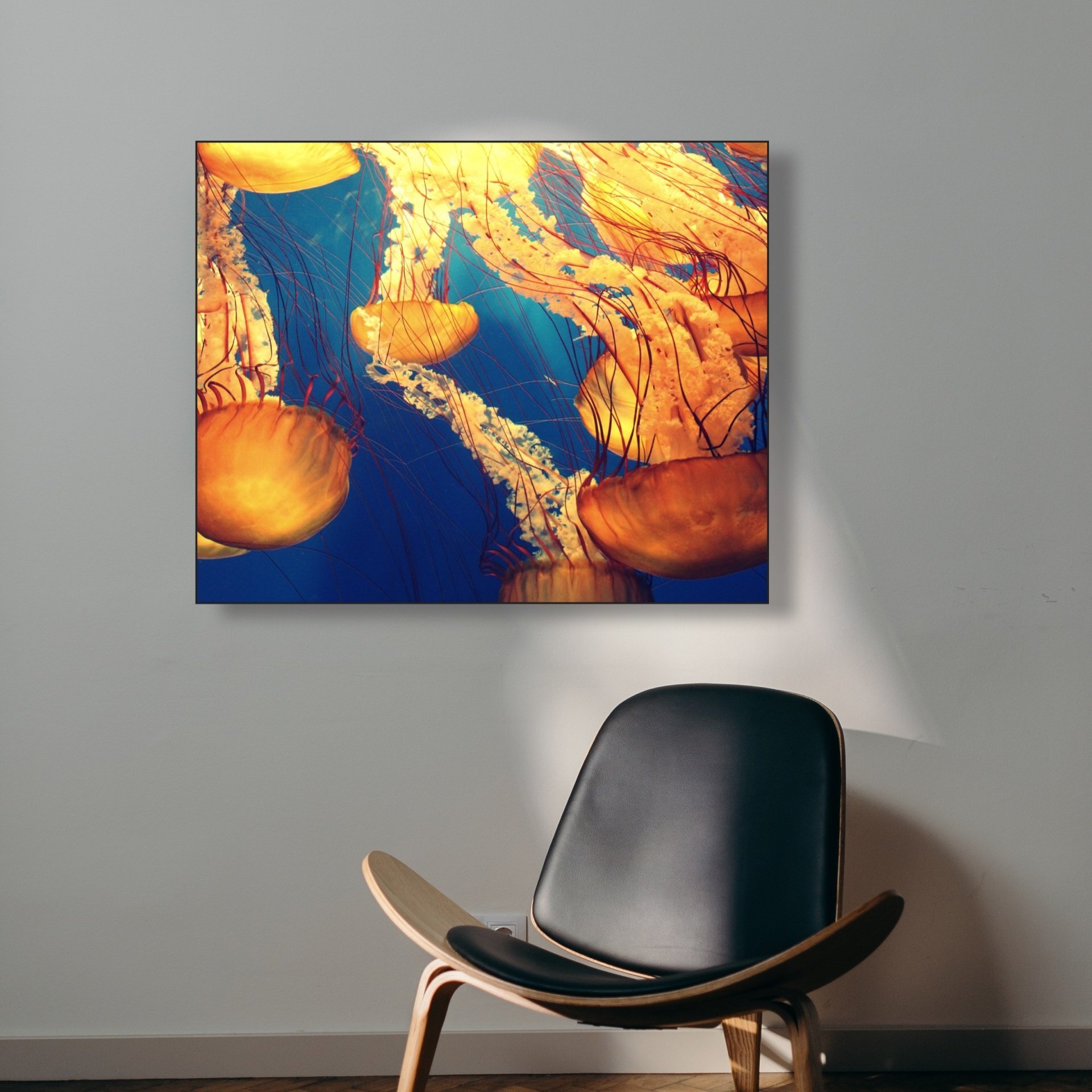 ARTHENTIC Akustikbillede - Aquarius