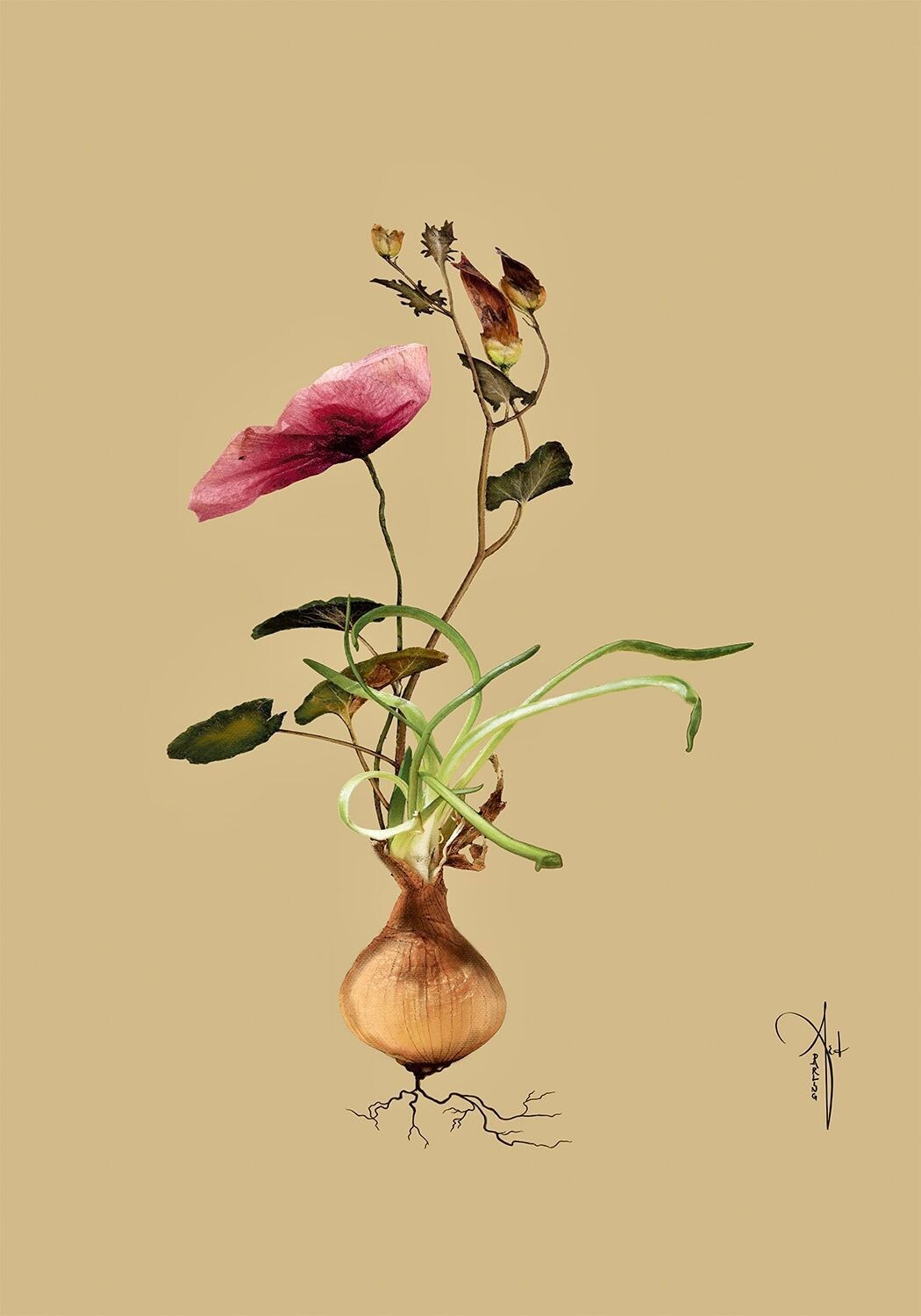 ARTHENTIC Akustikbillede | BOTANICAL I by Rikke Darling