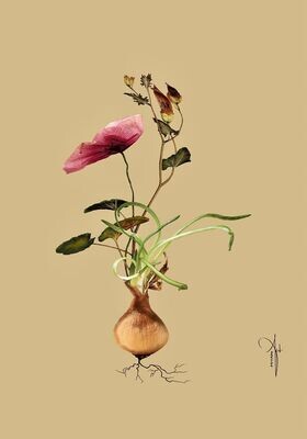 ARTHENTIC Akustikbillede | BOTANICAL I by Rikke Darling