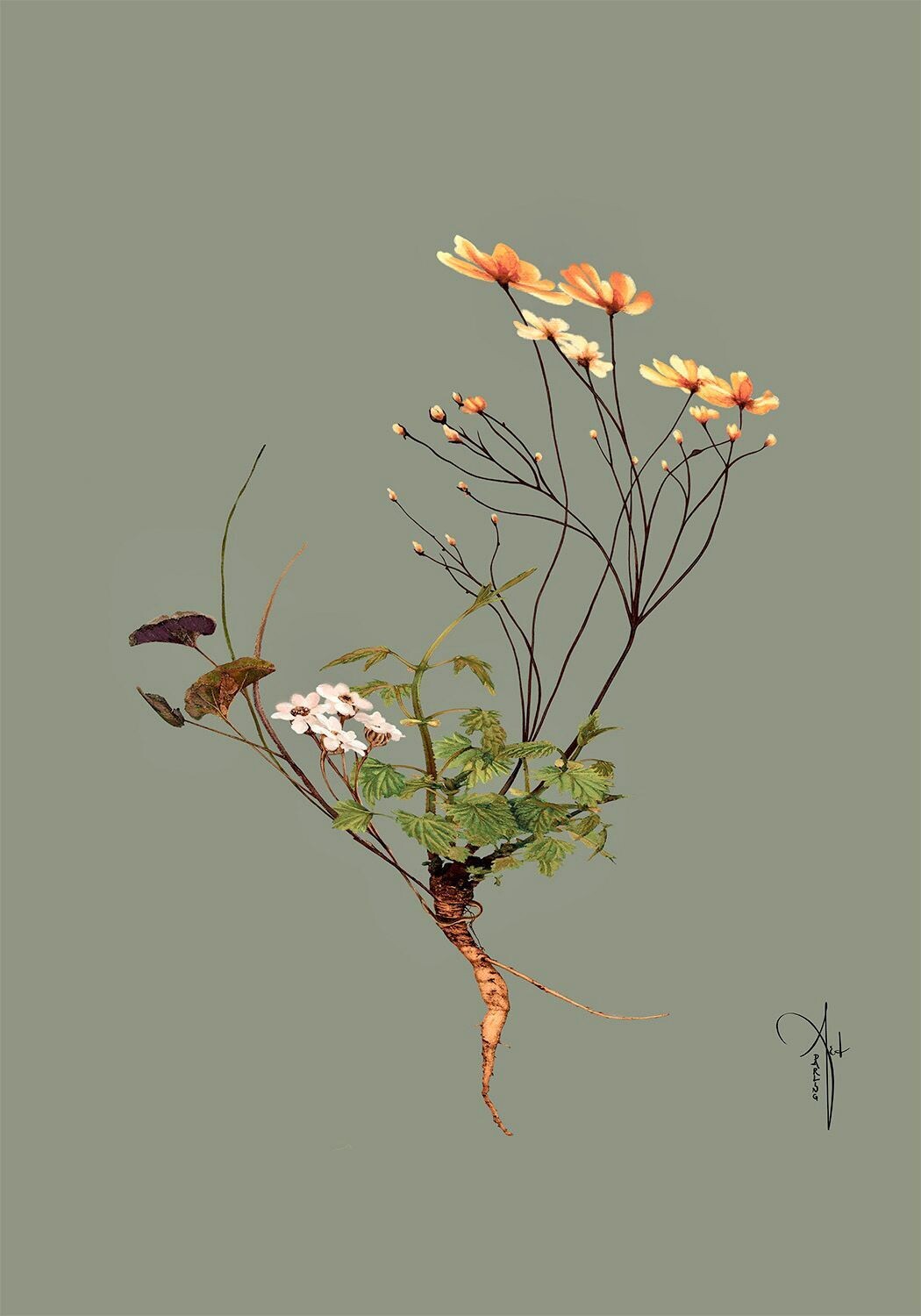 ARTHENTIC Akustikbillede | BOTANICAL II by Rikke Darling