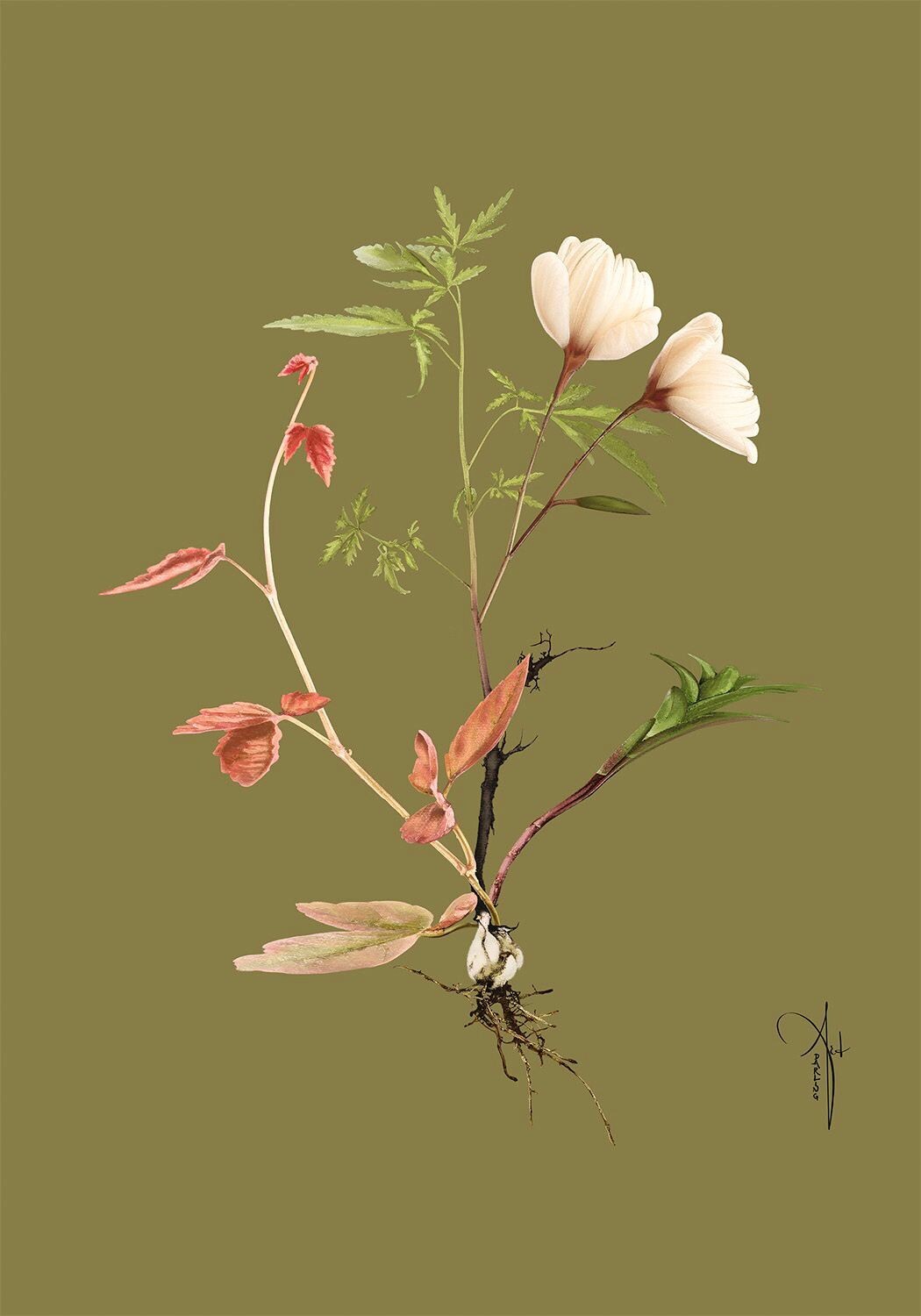 ARTHENTIC Akustikbillede | BOTANICAL III by Rikke Darling