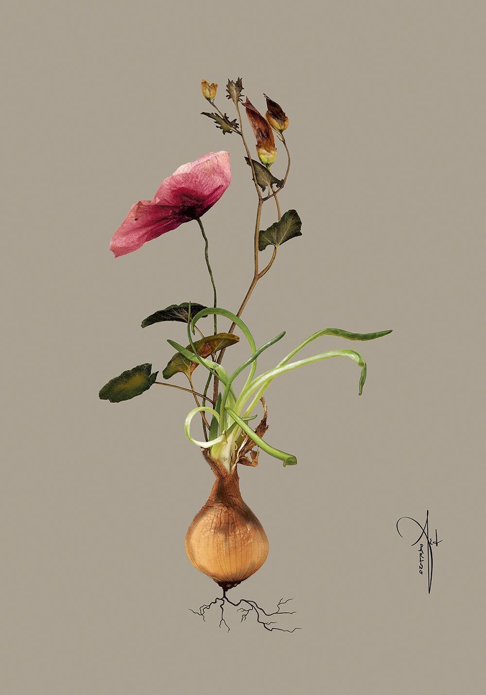 ARTHENTIC Akustikbillede | BOTANICAL GREY I by Rikke Darling