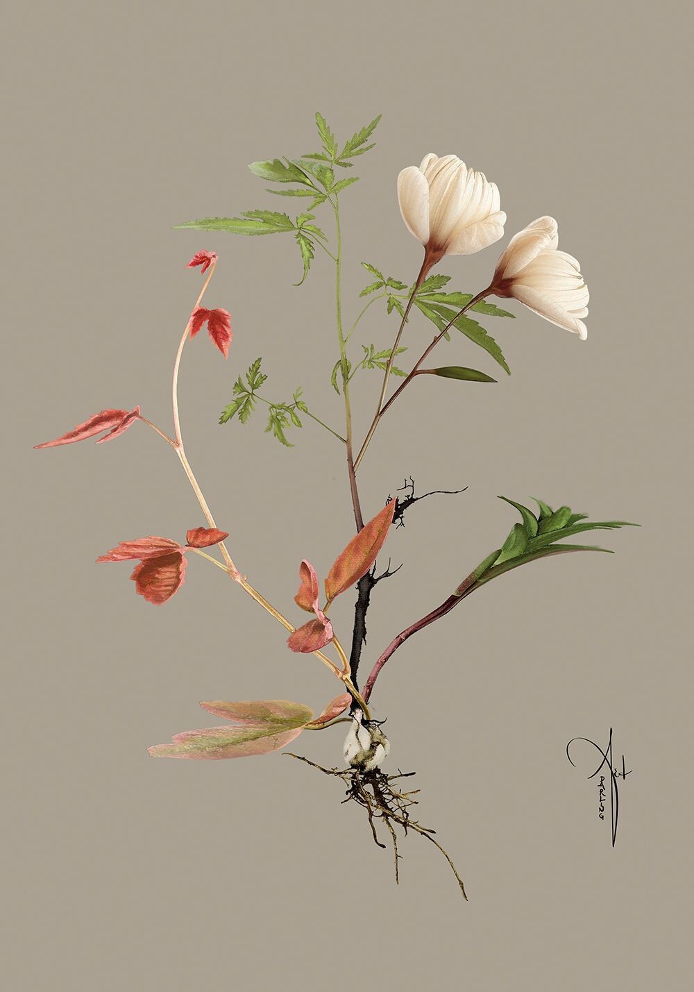 ARTHENTIC Akustikbillede | BOTANICAL GREY III by Rikke Darling