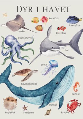 ARTHENTIC Akustikbillede - DYR I HAVET