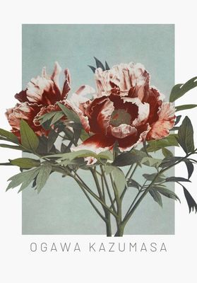 ARTHENTIC Akustikbillede 70 x 100 cm  - Ogawa Vilsa