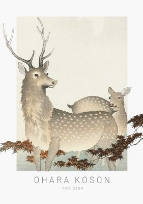 ARTHENTIC Akustikbillede 70 x 100 cm  - Two deer Vilsa