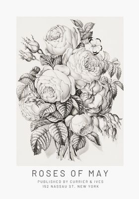 ARTHENTIC Akustikbillede 70 x 100 cm  - Rose Morris Vilsa