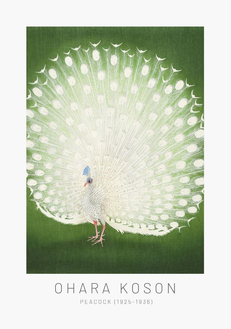ARTHENTIC Akustikbillede 70 x 100 cm  - Peacock Vilsa