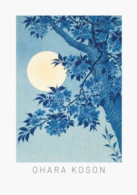 ARTHENTIC Akustikbillede - Ohara Koson Vilsa