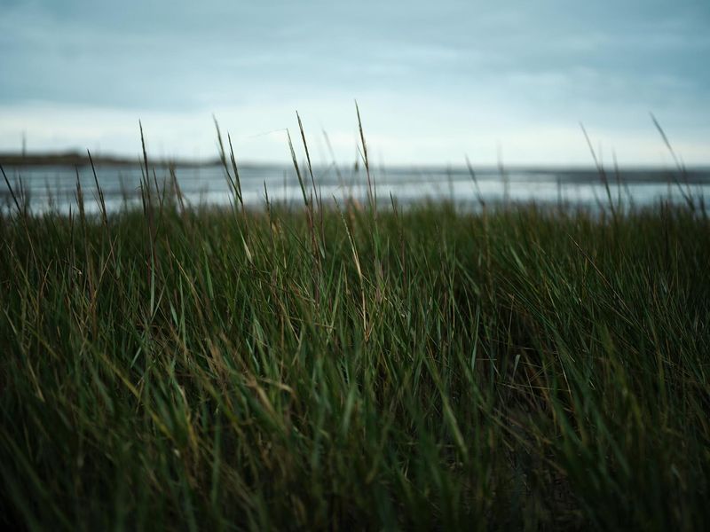 Vesterhavet II af fotograf Theis Bothmann | ARTHENTIC Akustikbillede
