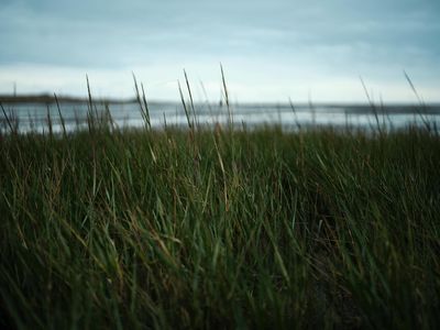 Vesterhavet II af fotograf Theis Bothmann | ARTHENTIC Akustikbillede