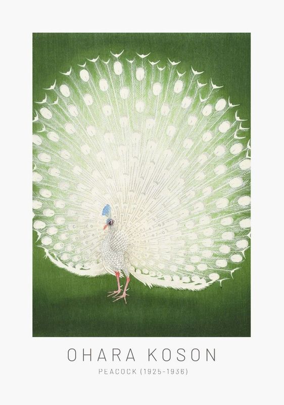 ARTHENTIC Akustikbillede 70 x 100 cm  - Peacock Vilsa