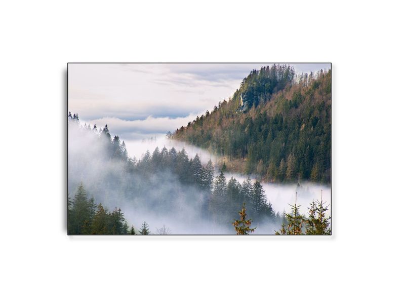 ARTHENTIC Akustikbillede - Disappearance