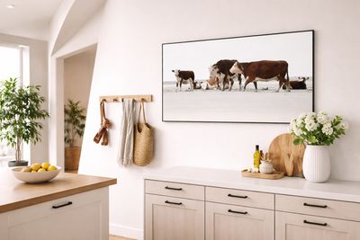 Sven Vedel Dall – Sansefotografier