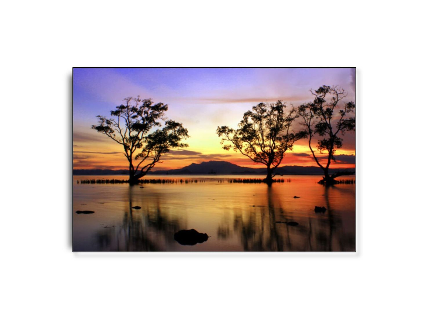 ARTHENTIC Akustikbillede - Goodnight Shadow