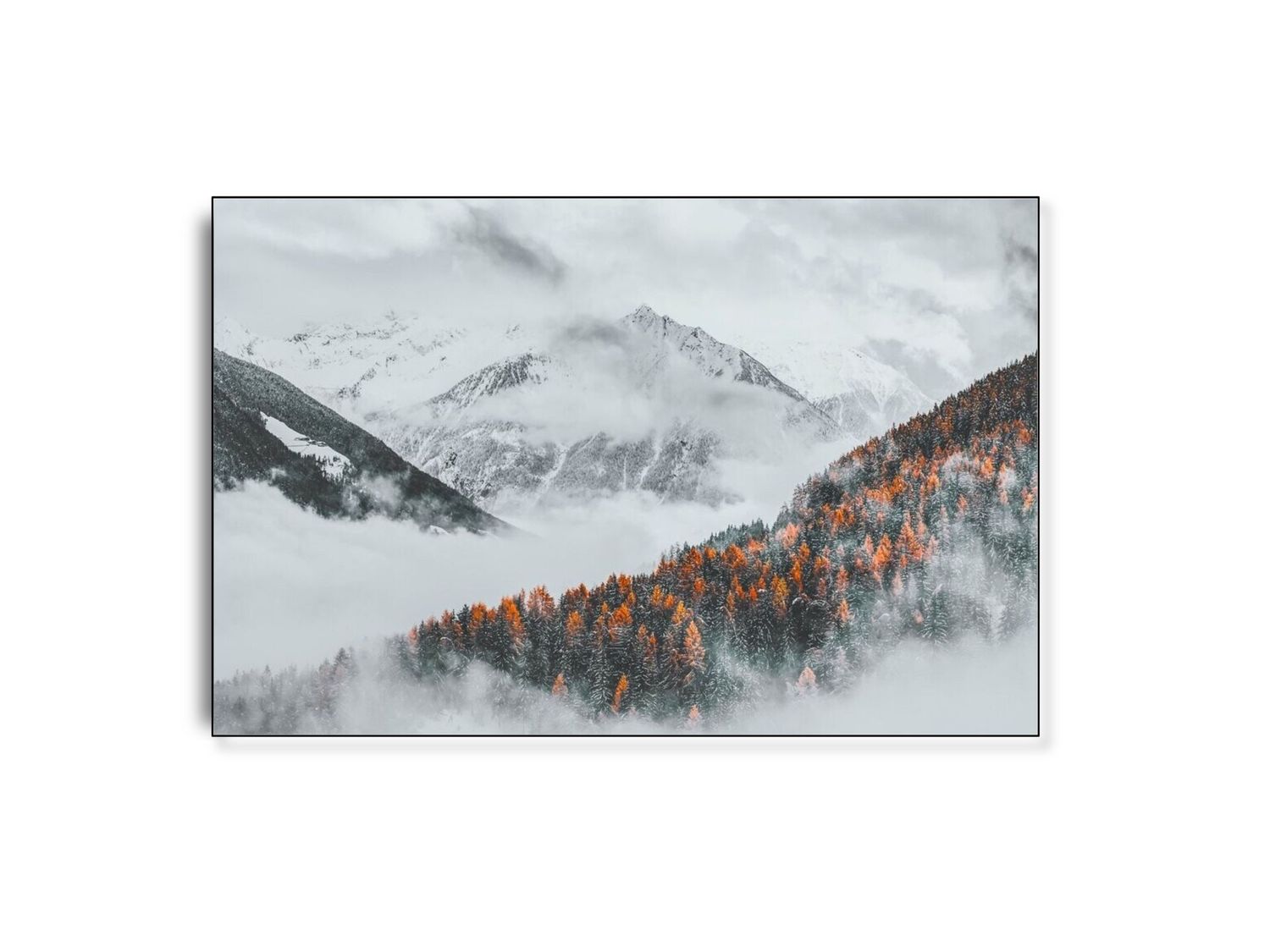 ARTHENTIC Akustikbillede - Woods above borders