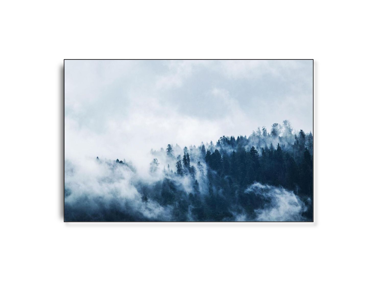 ARTHENTIC Akustikbillede - Colorless trees