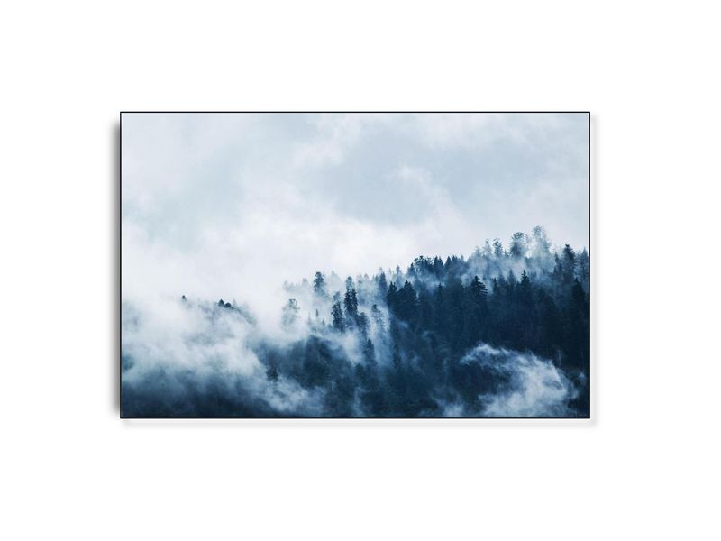 ARTHENTIC Akustikbillede - Colorless trees