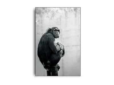 ARTHENTIC Akustikbillede - Chimp my day