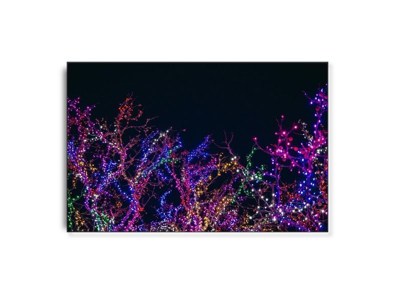 ARTHENTIC Akustikbillede - Dancin' with the seaweed