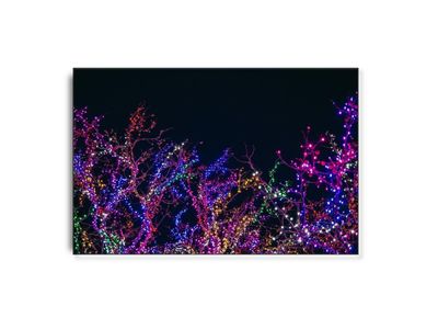 ARTHENTIC Akustikbillede - Dancin' with the seaweed