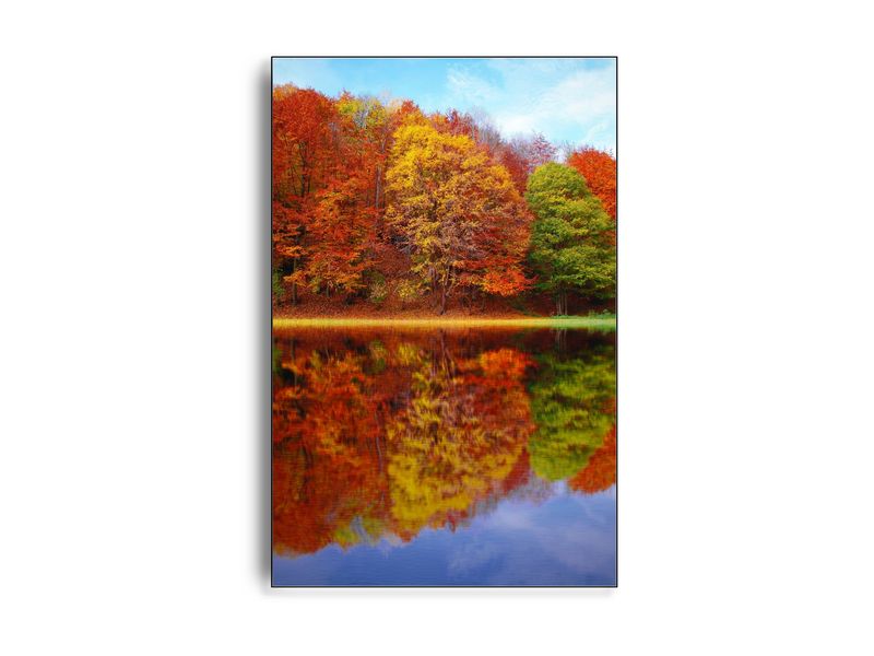 ARTHENTIC Akustikbillede - Autum double ARTHENTIC Akustikbillede - Autum double