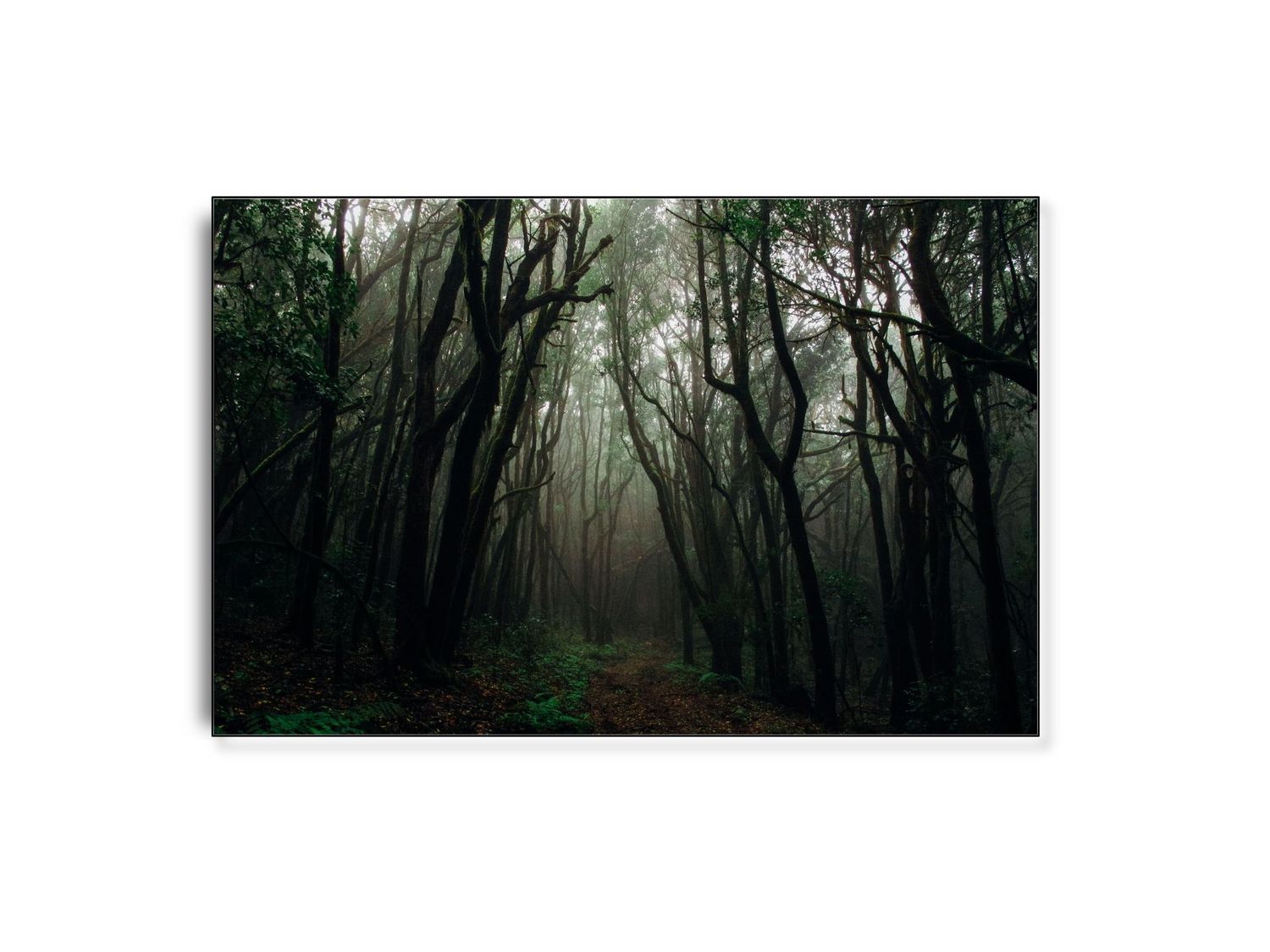 ARTHENTIC Akustikbillede - Trolls home