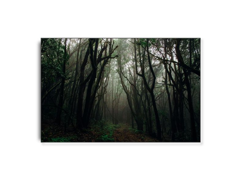 ARTHENTIC Akustikbillede - Trolls home