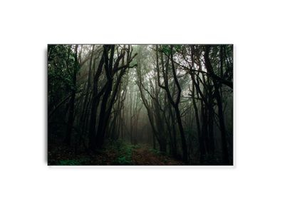 ARTHENTIC Akustikbillede - Trolls home