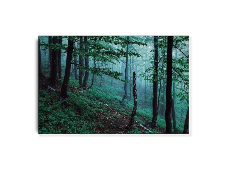 ARTHENTIC Akustikbillede - Mettre au vert