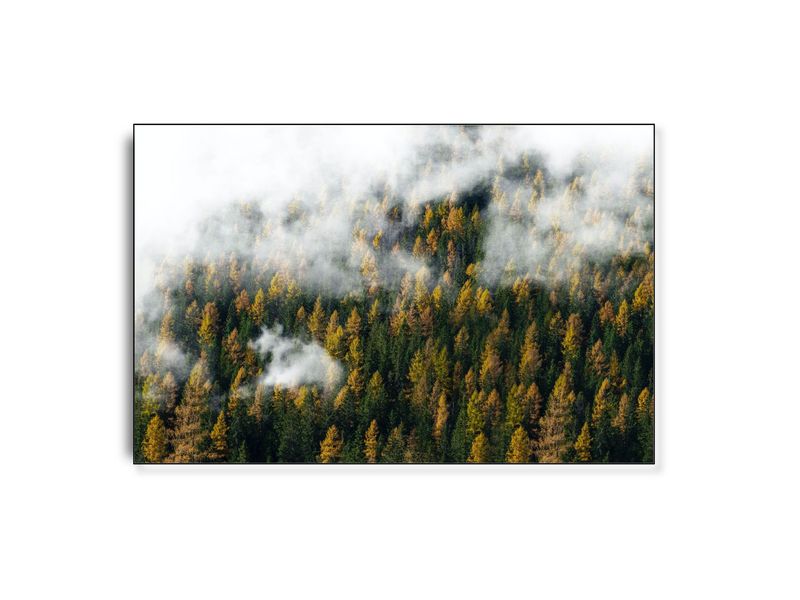 ARTHENTIC Akustikbillede - Forrest Fog ARTHENTIC Akustikbillede - Forrest Fog