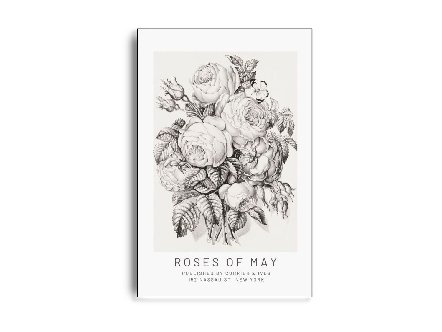 ARTHENTIC Akustikbillede 70 x 100 cm  - Rose Morris Vilsa