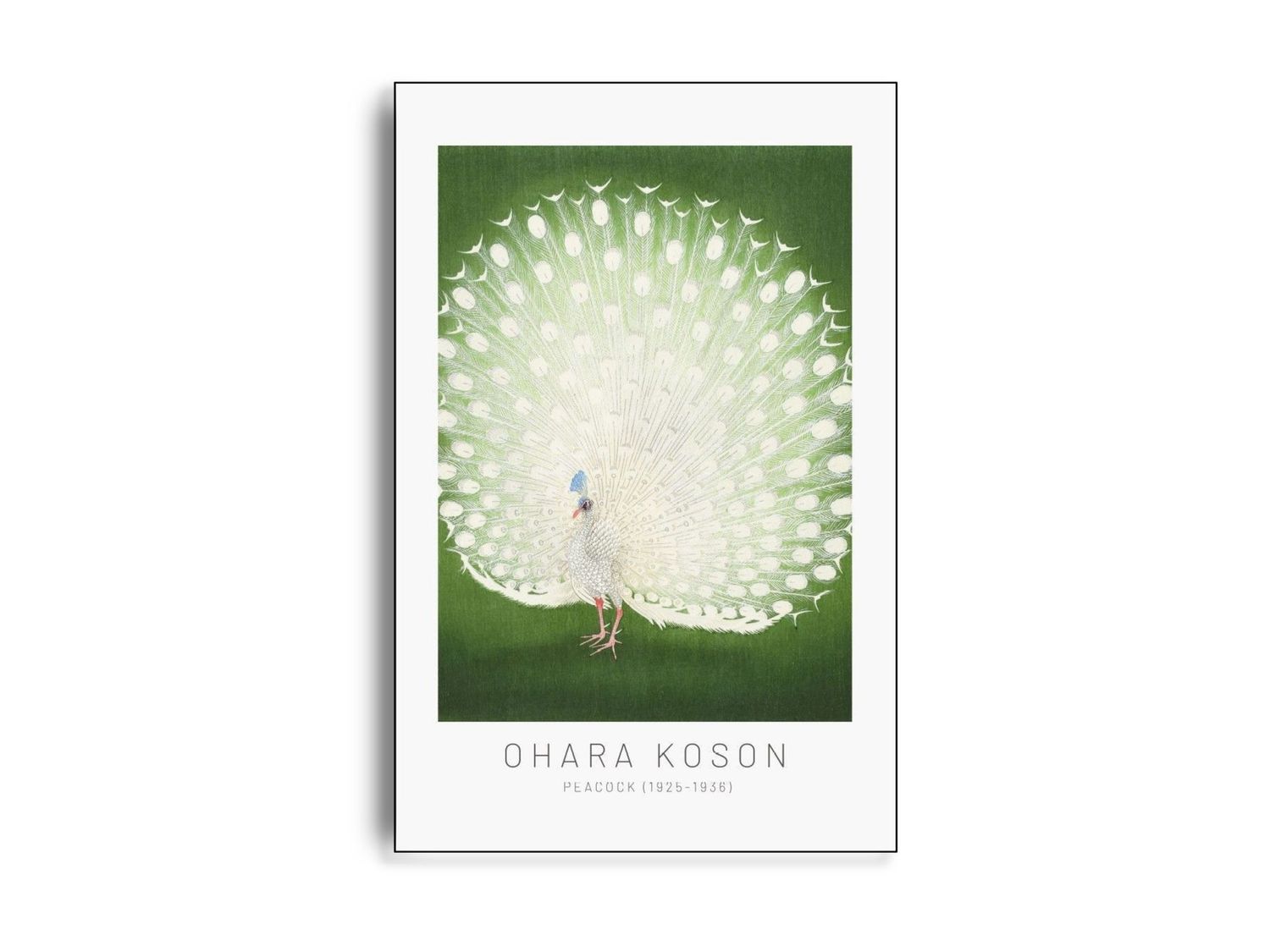 ARTHENTIC Akustikbillede 70 x 100 cm - Peacock Vilsa ARTHENTIC Akustikbillede 70 x 100 cm - Peacock Vilsa