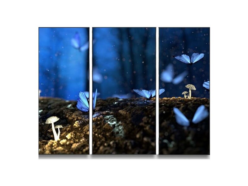 ARTHENTIC Akustikbillede - 3 piece Butterfly