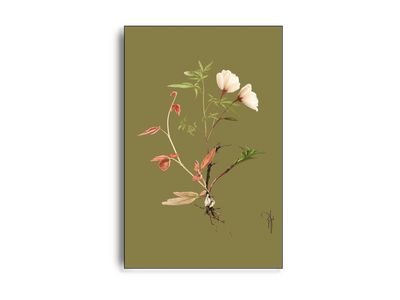 ARTHENTIC Akustikbillede | BOTANICAL III by Rikke Darling