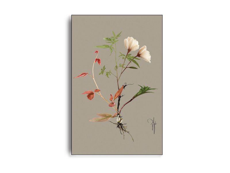 ARTHENTIC Akustikbillede | BOTANICAL GREY III by Rikke Darling