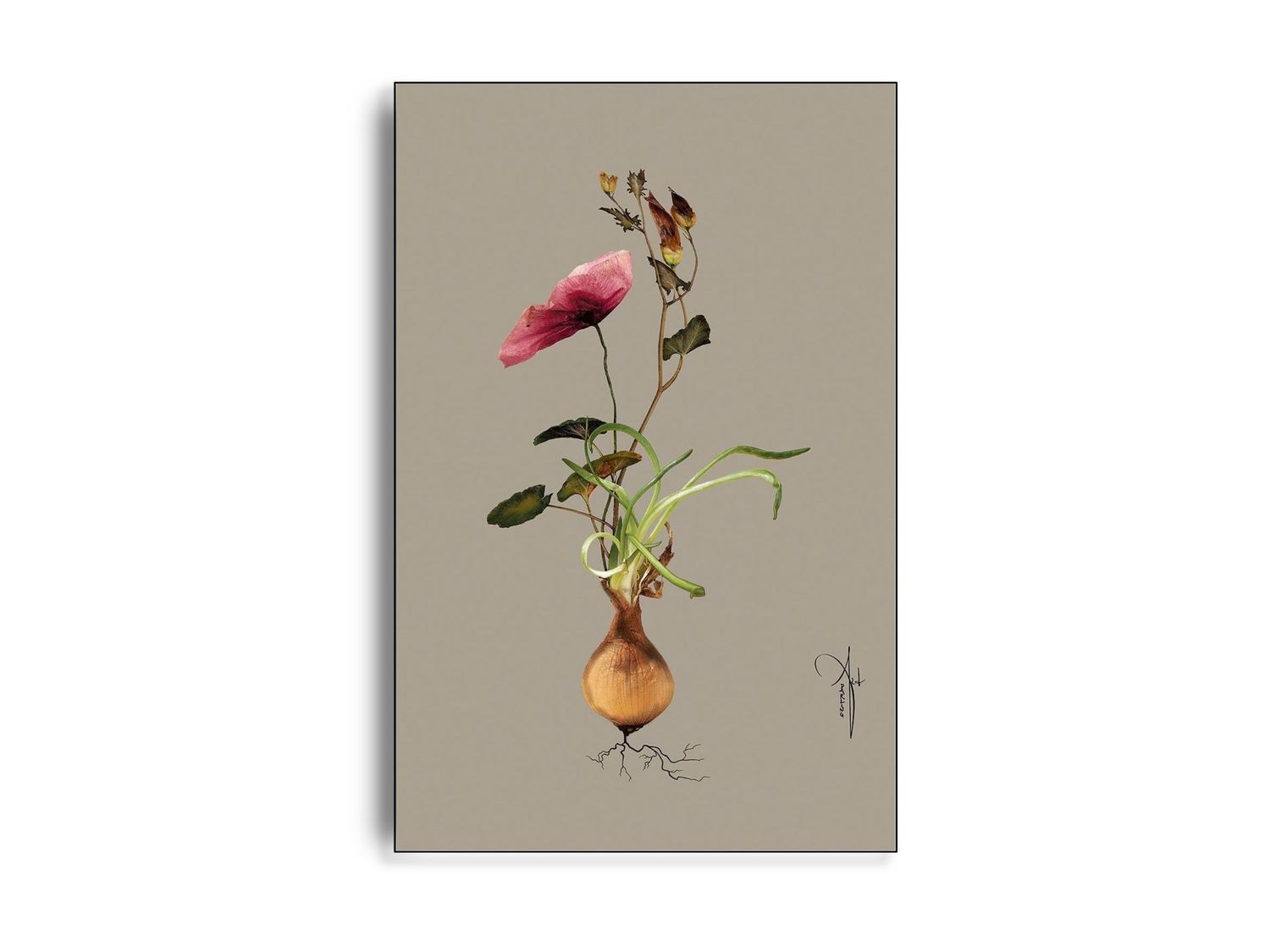 ARTHENTIC Akustikbillede | BOTANICAL GREY I by Rikke Darling