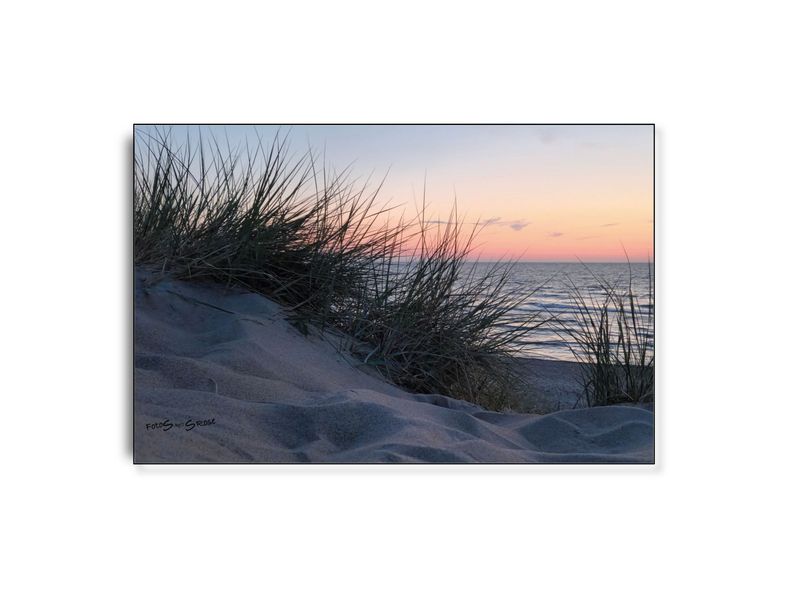 FotoSbySRose #5 ARTHENTIC Akustikbillede FotoSbySRose #5 ARTHENTIC Akustikbillede