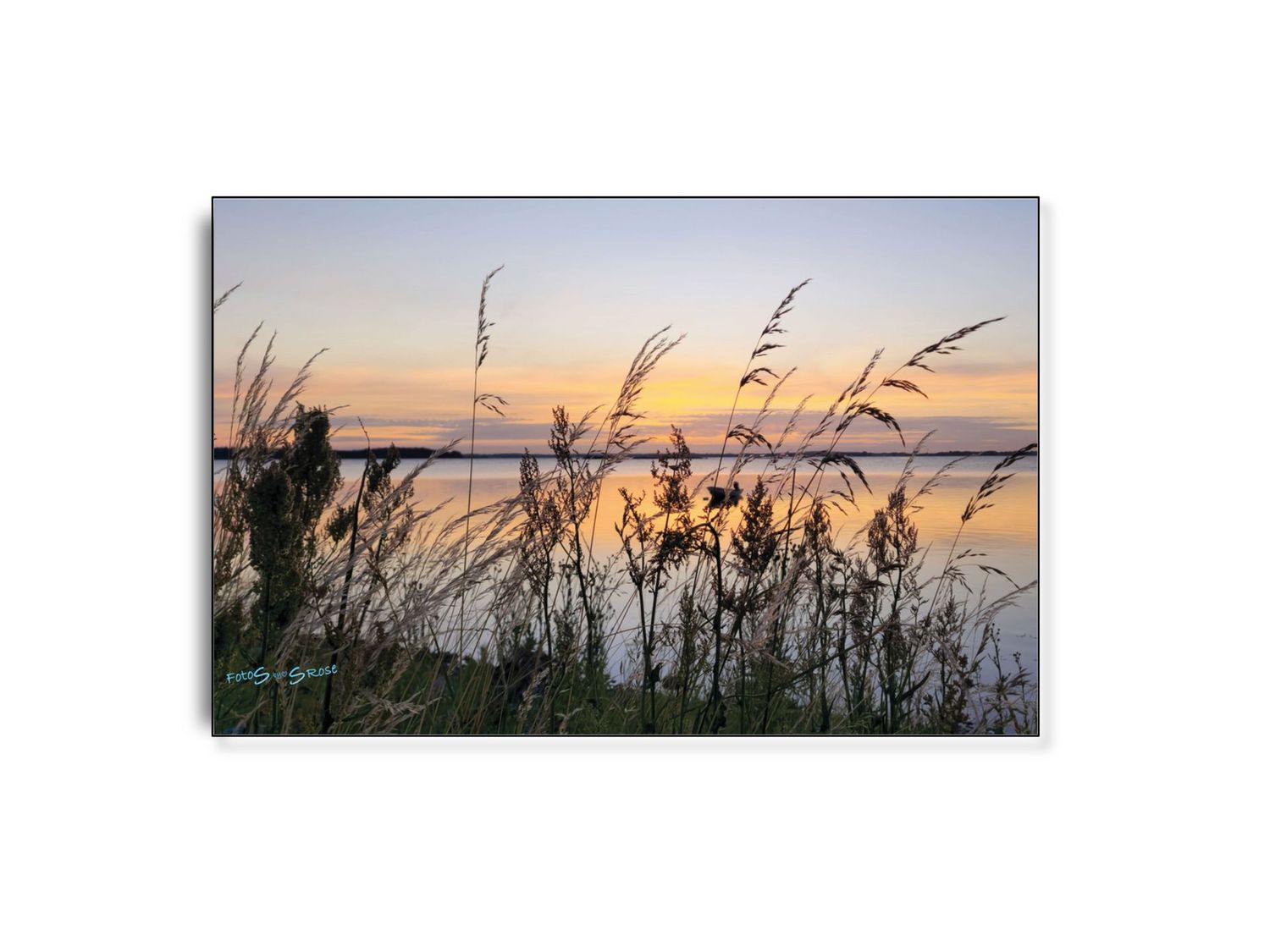 FotoSbySRose #6 ARTHENTIC Akustikbillede