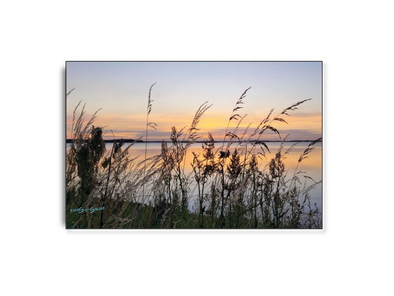 FotoSbySRose #6 ARTHENTIC Akustikbillede FotoSbySRose #6 ARTHENTIC Akustikbillede