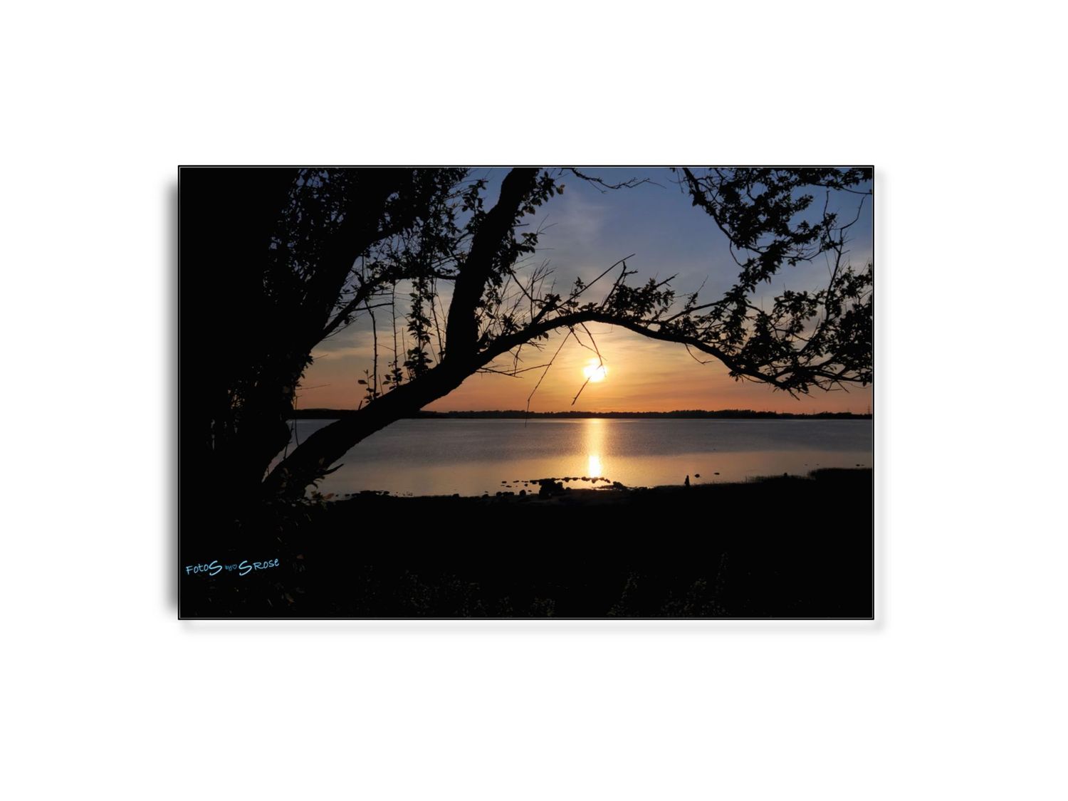 FotoSbySRose #2 ARTHENTIC Akustikbillede